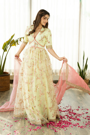 FALAK LIME EMBELLISHED SET - Sarnya