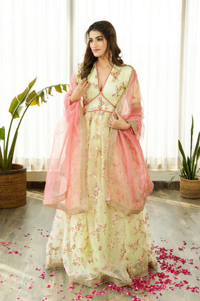 FALAK LIME EMBELLISHED SET - Sarnya