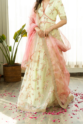 FALAK LIME EMBELLISHED SET - Sarnya