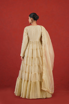 Aafreen light golden flared kurta set back view