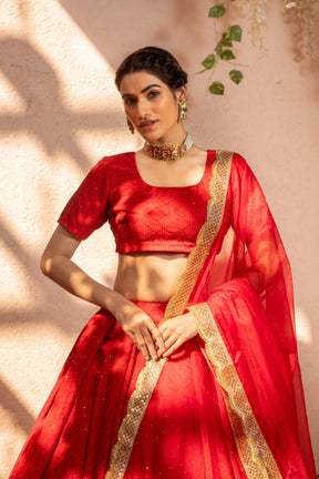 RED VELVET LEHENGA - Sarnya